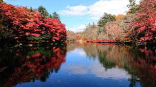 雲場の池の紅葉